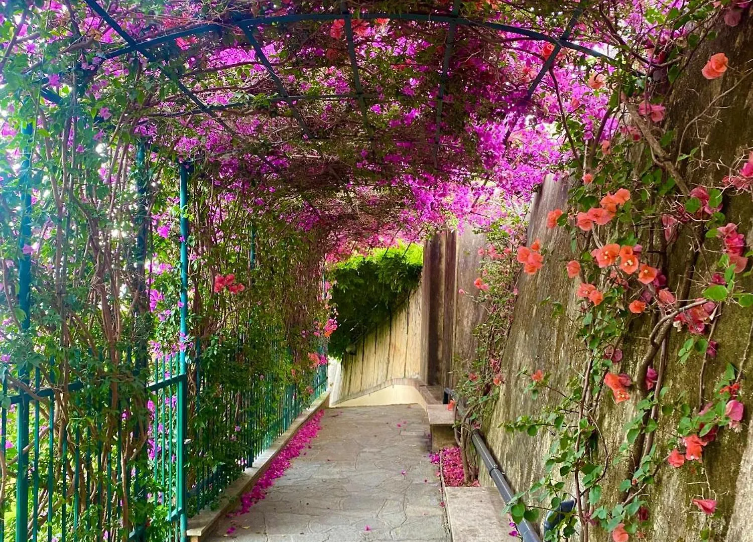 Casa Lella Home Recco Italy