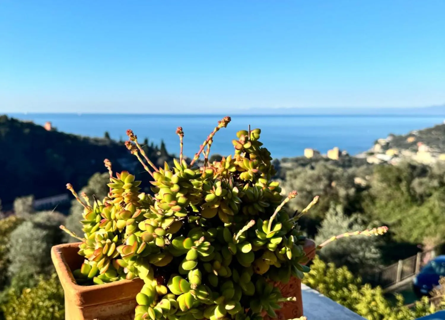 Casa Lella Home Recco 0*,  Italy