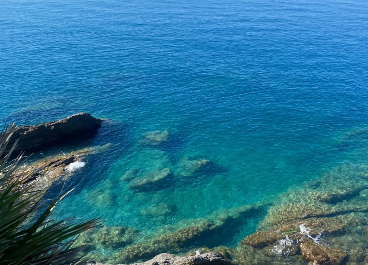 Casa Lella Home Recco Italy