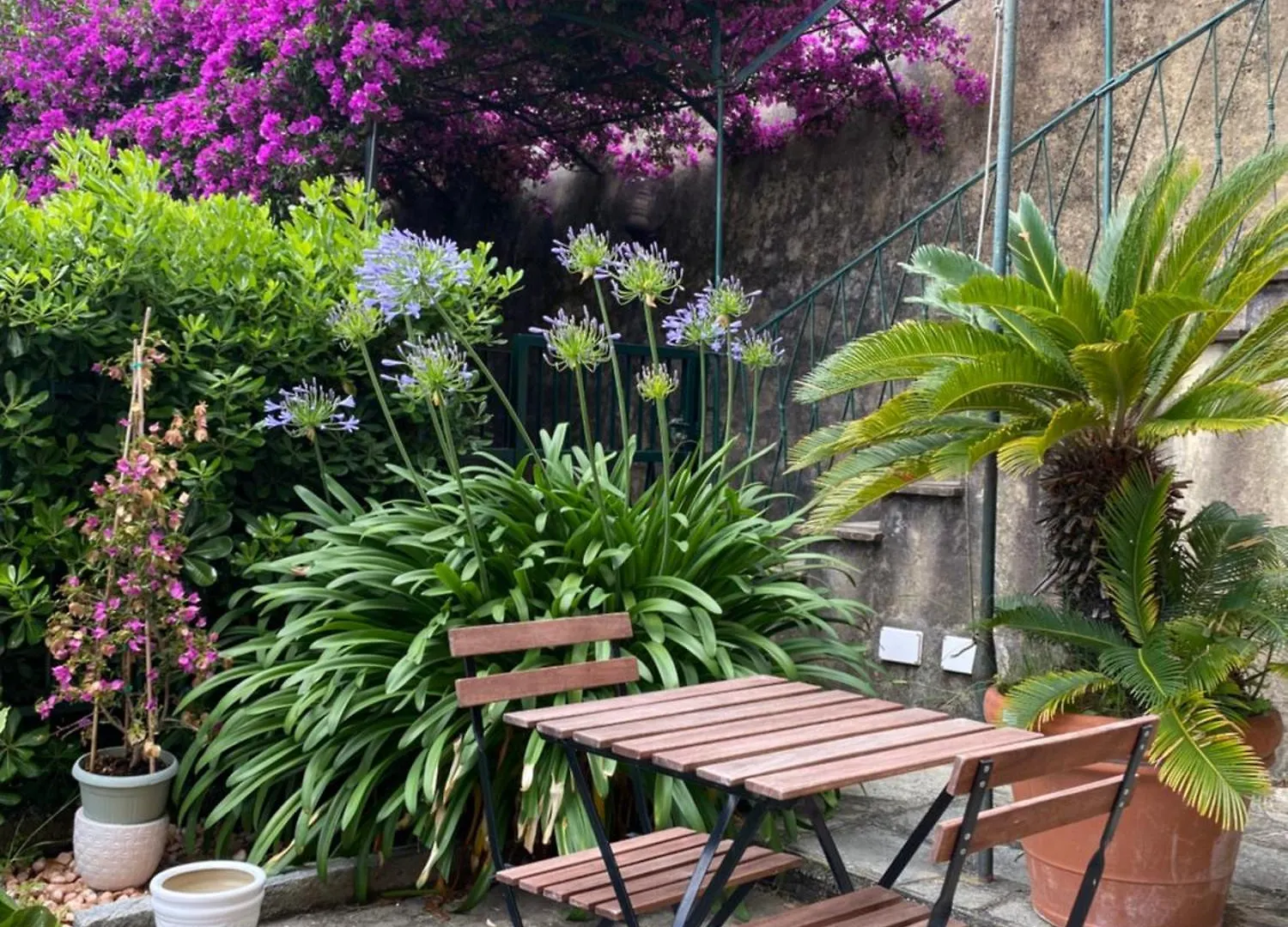 Casa Lella Home Recco Apartment