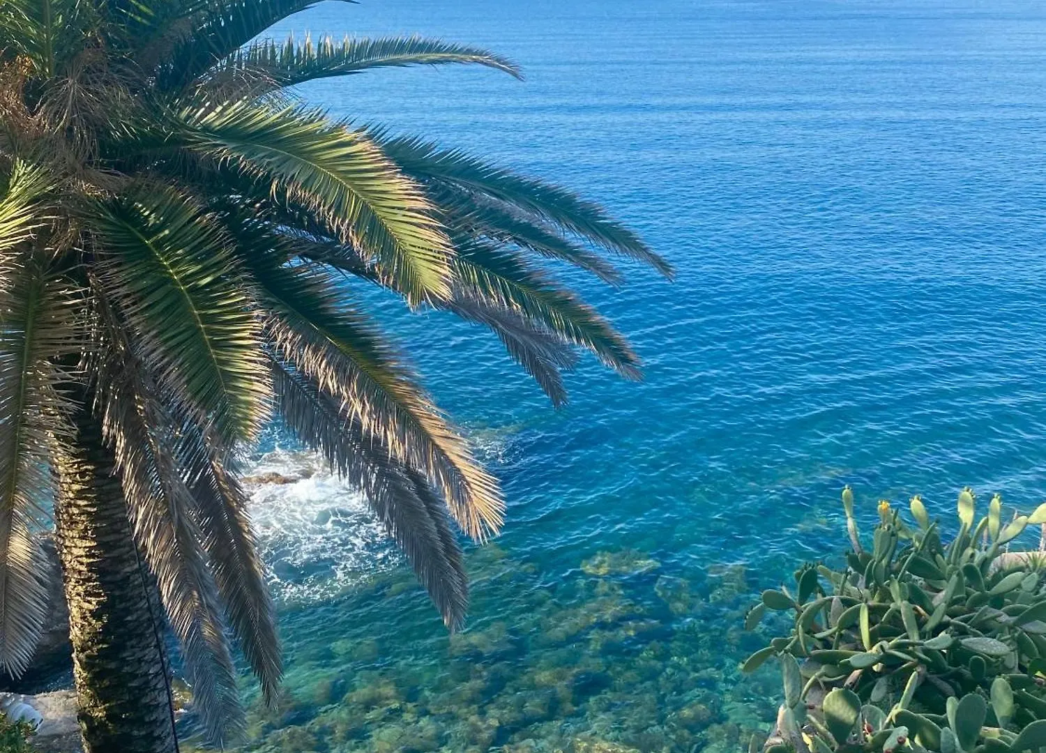 Casa Lella Home Recco Apartment